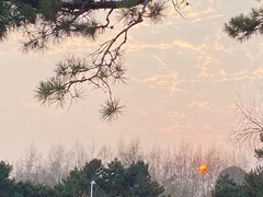 -长春公园(普阳街道)