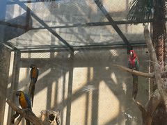 -大连森林动物园