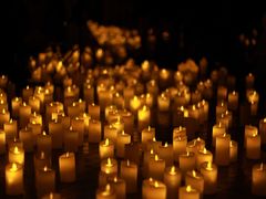 -船长9号·精致湖北菜(江滩店)