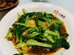 -六泰居·尔滨地标·东北菜(泰山路店)