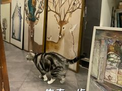 -咖法森林·咖啡  酒吧(天河店)