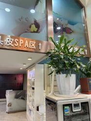 -SOLO Hair Salon