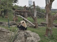 -武汉动物园