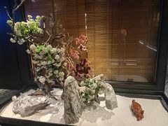 -唐猫庭院·千年陕菜(赛格国际购物中心店)