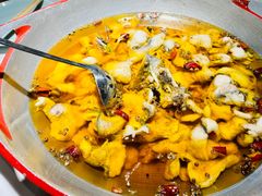 -雲蜀龙阁·金牌水煮鱼(方庄店)