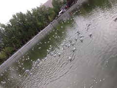 iphone_upload_pic-宗角禄康公园