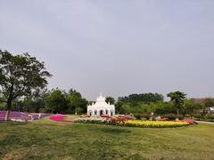 -杭州湾海上花田景区