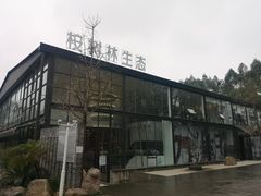 -桉树林A coffee 森林餐厅(三圣乡店)