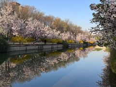 -元大都城垣遗址公园