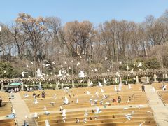 -音乐台