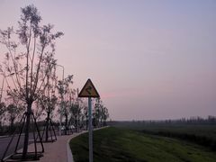 -白洋淀景区