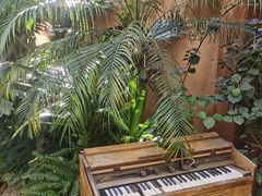 -六阅·福十 FORTEN 海景咖啡西餐厅(双廊古镇店)