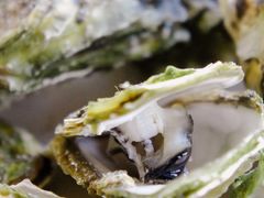 -南蚝小贝海鲜特色餐厅(南澳岛店)