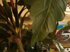 -凯撒城堡西餐厅(颐和国际店)