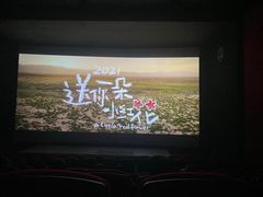 -万达影城(锦华万达广场IMAX店)