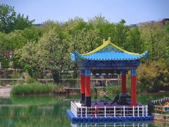 -淄博花灯齐彩城