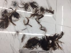点击看大图 -潘多拉Hairsalon
