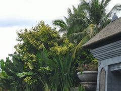 -海南清水湾莱佛士酒店