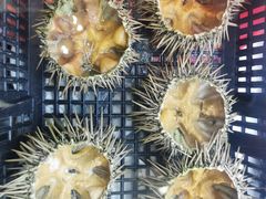 海胆-景祥海鲜美食餐厅