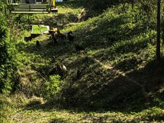 -窦圌山风景区