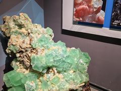 -湖南省地质博物馆