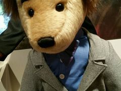 -济州岛泰迪熊博物馆