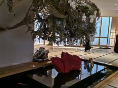 -月龍吟(朝龙汇店)
