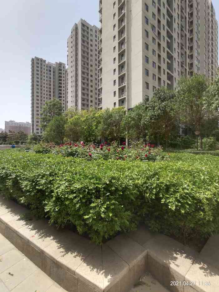 盛世天骄花苑-"到盛世天骄小区,刚好赶上下雪,纪念一下.