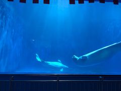 -多彩贵州城极地海洋世界