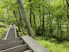 -武当山风景区