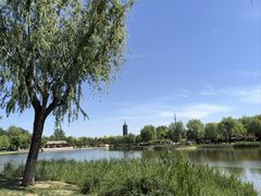 -西海子公园