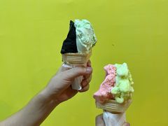 -柠檬车露(卖草地店)