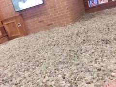 -沐泷泉(南风大剧院店)