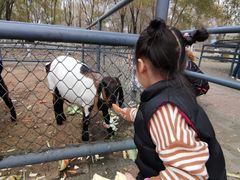 -长白岛森林公园