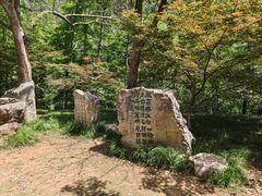 -敬亭山风景名胜区