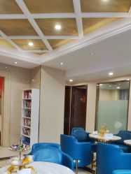 -碧莲盛·不剃发植发