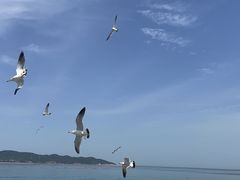-长岛南北长山旅游景区