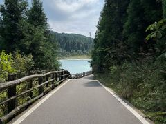 -武陵山森林公园