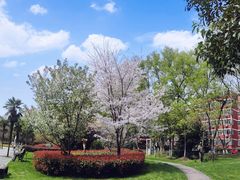 -南京特殊教育师范学院(燕子矶校区)
