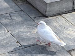 -茯茶镇