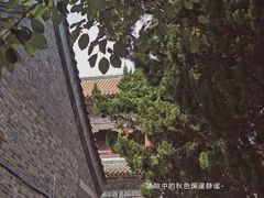 -湛山寺