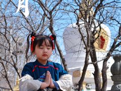 -护国法轮寺