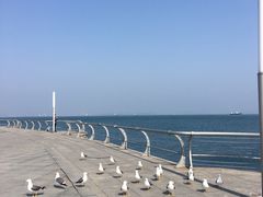 -东港音乐喷泉广场