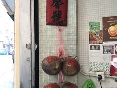 -洪馨椰子