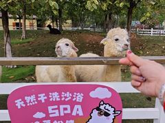 -盈香心动乐园