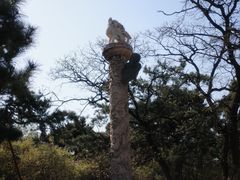 -北陵公园