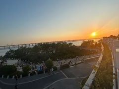 -宝安西湾红树林湿地公园