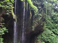 -青城山