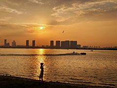 -瑶湖郊野森林公园