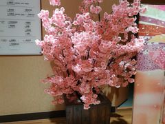 -大江户·温泉洗浴(浑南店)
